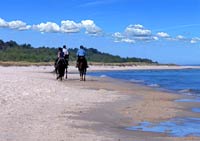 Białogóra - plaża